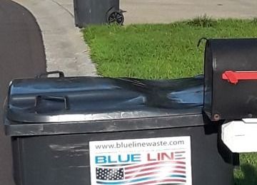 Junk Removal Service, Hauling - Blue Line Waste Services